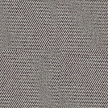 camira-era-cse02.jpg